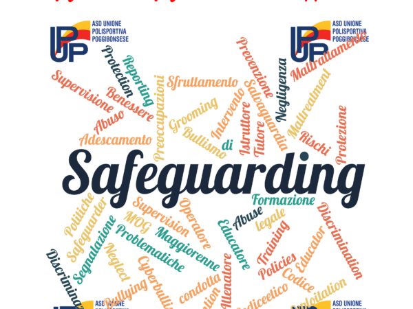 La figura del Safegurdian: ruolo e opportunità